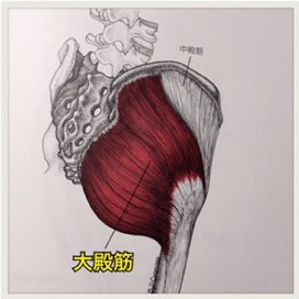 お尻コリほぐしプログラム とは お尻コリほぐしプログラム